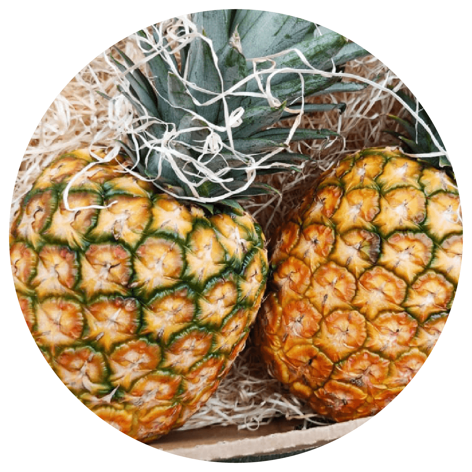 ananas-illust