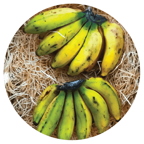 apple-banan-illust